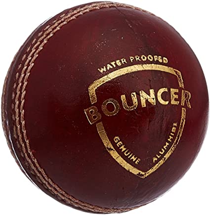 SG BALL BOUNCER