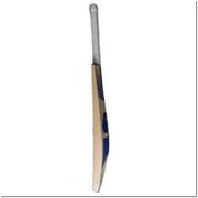 SG CRICKET ENGLISH WILLOW BAT TRIPLE CROWN XTREME