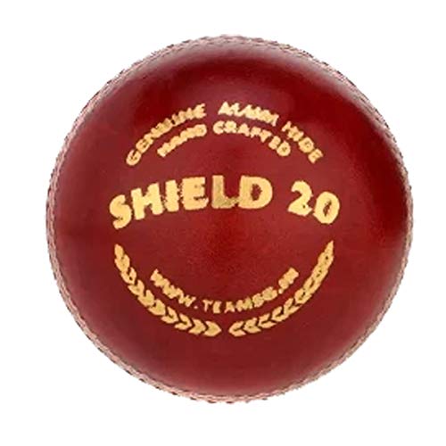 SG BALL SHIELD 20