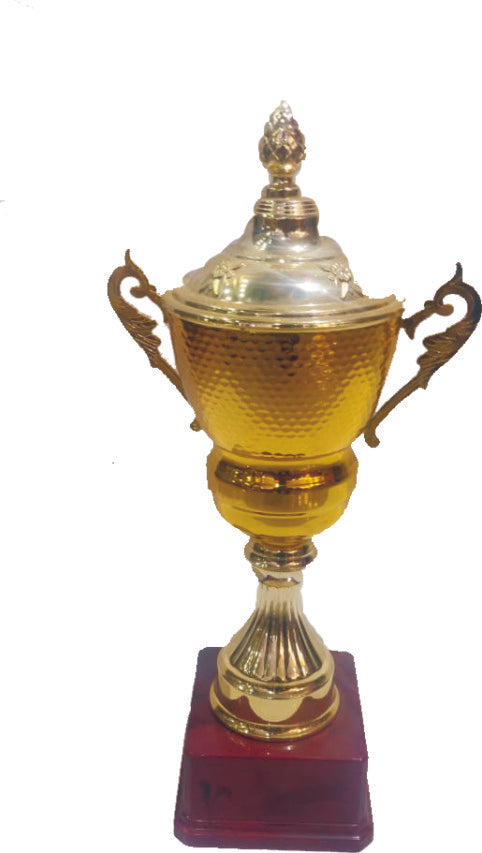PJ TROPHIES 28 B