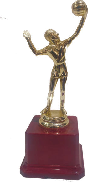 PJ TROPHIES 880 VOLLEY BALL