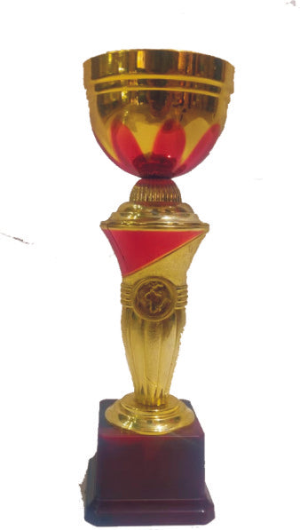 RS TROPHIES 381 C