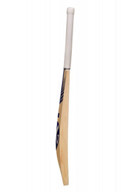 SG CRICKET BAT TC XTREME